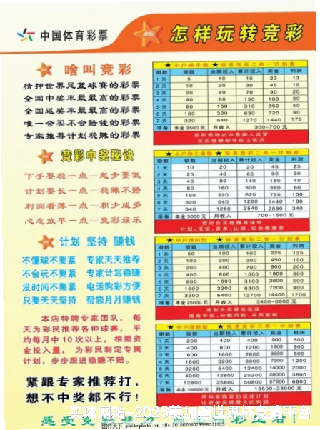核心团队与专业资质